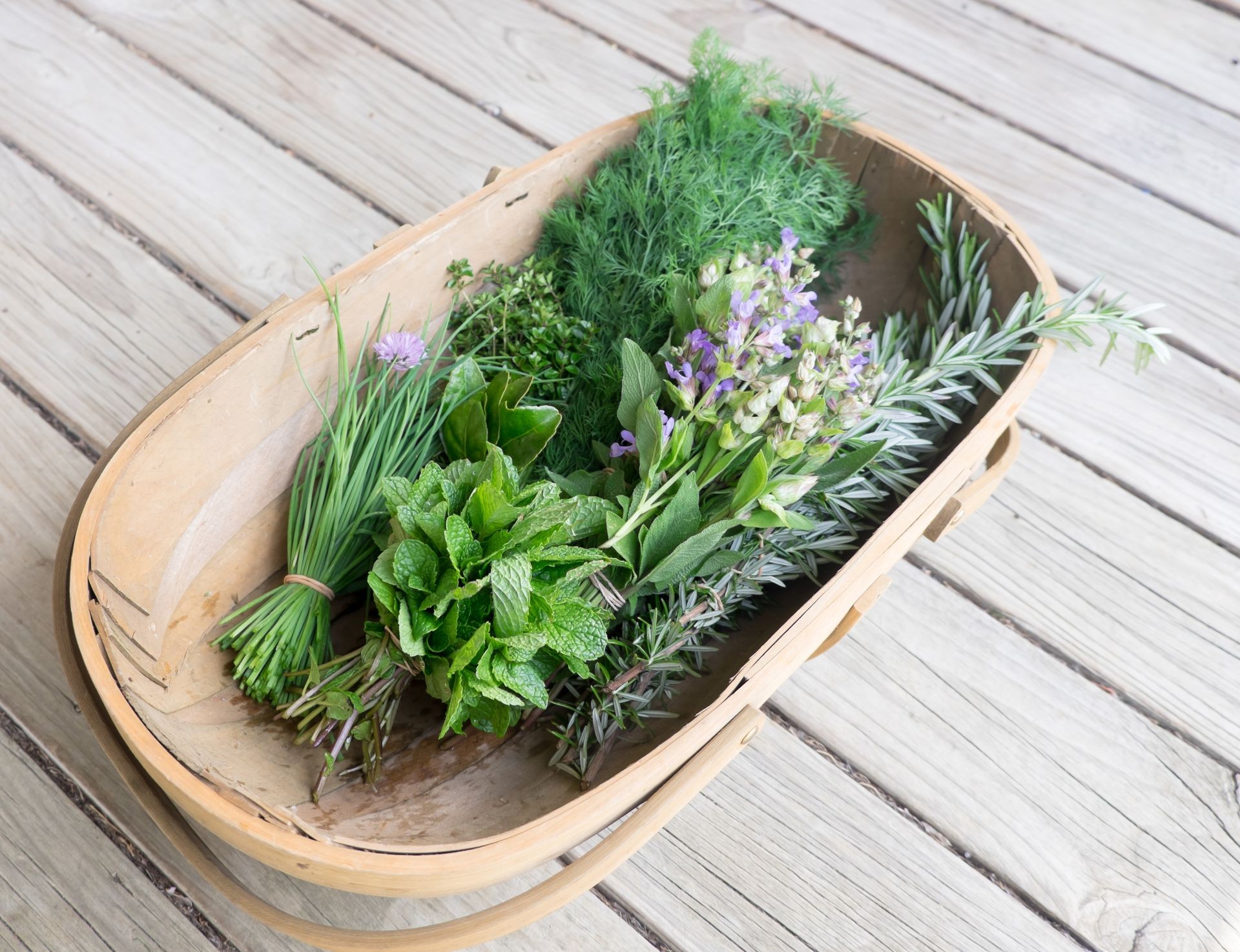 Garden trug of fresh organic herbs on wooden deck: chives, mint, thyme, rosemary, dill, sage with edible purple flowers